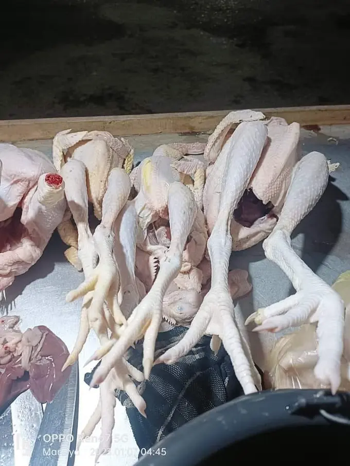 Tanpa Daun Nangka, Ini Cara Rebus Ayam Kampung yang Alot Agar Cepat Empuk