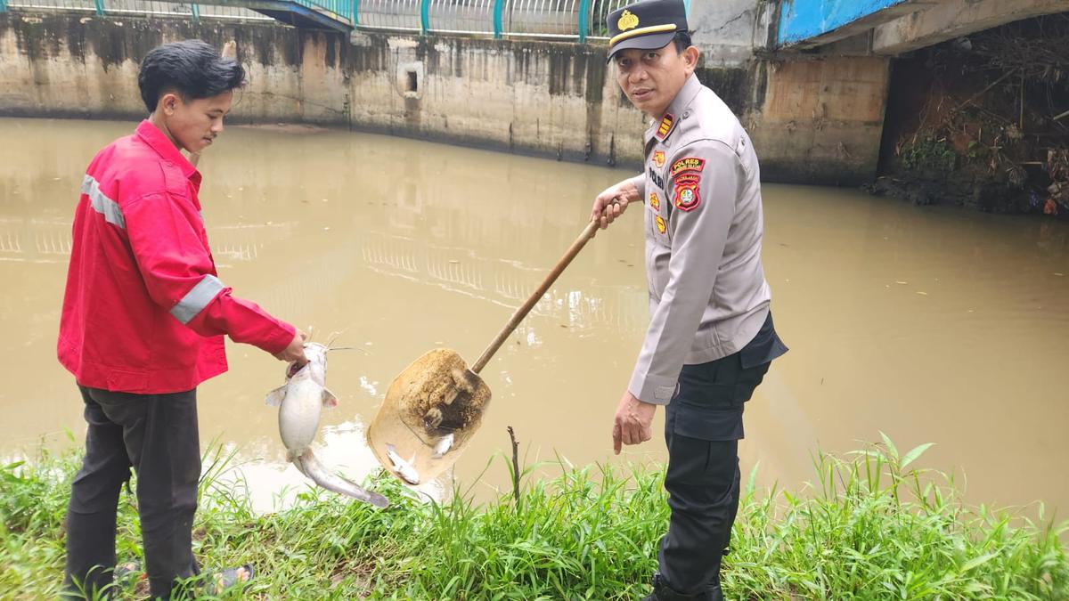 Gudang Pestisida Terbakar dan Cemari Kali Jalatreng Tangsel, Ratusan Ikan Mati Mengambang