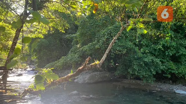 Sungai Ilomata River Camp