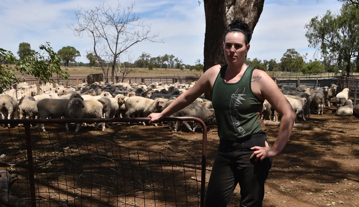 Emma Billet berpose dengan latar belakang kumpulan domba di tempat pemotong bulu domba di New South Wales, Australia (21/2). Dalam sehari Emma dapat mencukur bulu domba sebanyak 120 ekor. (AFP/Peter Parks)