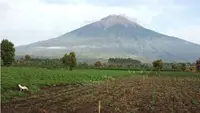 Gunung Kerinci. (Liputan6.com/ Gresi Plasmanto)