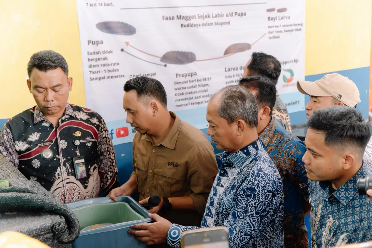 Program Kolaborasi