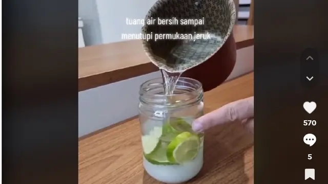 Gunakan 1 Jenis Minyak, Ini Trik Efektif Usir Nyamuk dan Lalat Tanpa Obat Serangga