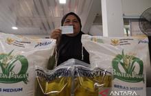Bulog Pastikan Stok Beras Sumbar Aman Tiga Bulan ke Depan Jelang Idul Fitri