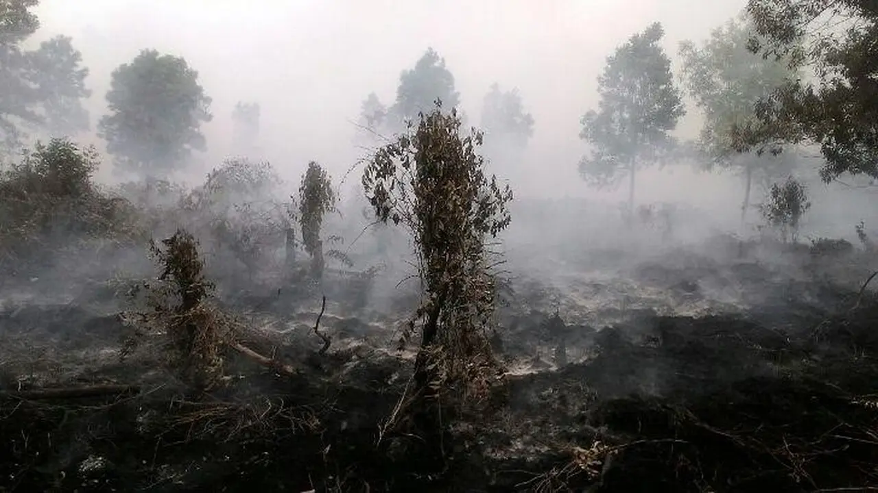 Karhutla Riau