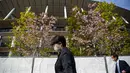 Pejalan kaki mengenakan masker melewati Stadion Nasional Jepang, tempat upacara pembukaan dan penutupan untuk Olimpiade Tokyo 2020 akan diadakan, saat bunga sakura bermekaran di atas di Tokyo (6/4/2021). Ibukota Jepang mengonfirmasi lebih dari 390 kasus virus korona baru pada hari Selasa. (AP Photo/