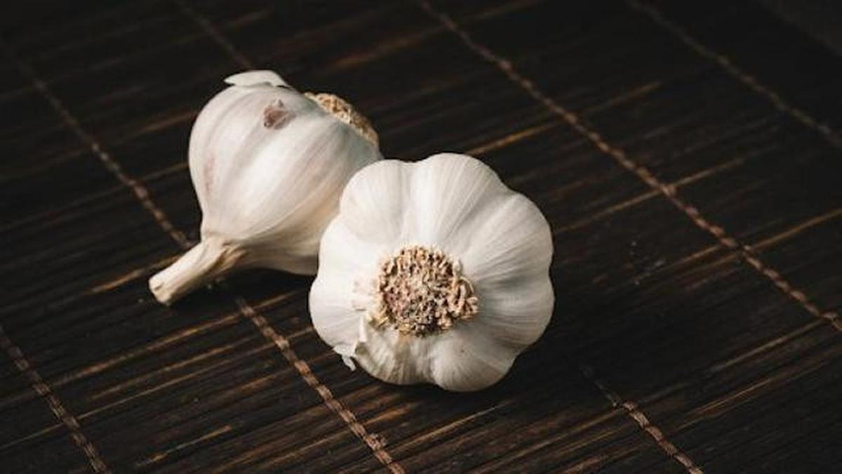 Tanaman Bawang Putih di Rumah Bisa Usir Nyamuk dan Serangga, Begini Caranya