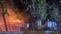 Bakar Rayap di Pohon Mati, Pria di Batam Jadi Tersangka Kebakaran Lahan 10 Hektare
