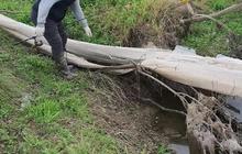 VIDEO: Dua Pria Temukan Benda Aneh saat Mau Mancing, Diduga Kulit Ular Raksasa Terbesar Dunia?