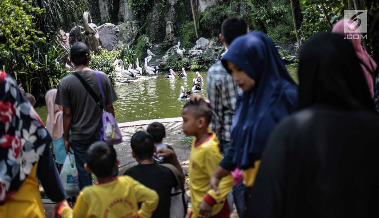 Sejumlah anak TK melihat burung pelikan di Taman Marga Satwa Ragunan, Jakarta, Kamis (13/12). Kegiatan tersebut juga untuk memberikan wawasan kepada anak-anak betapa pentingnya mencintai satwa. (Liputan6.com/Faizal Fanani)
