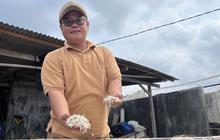 Pengrajin Ikan Asin Lampung Selatan Jaga Kualitas dan Inovasi Demi Perluas Pasar Global