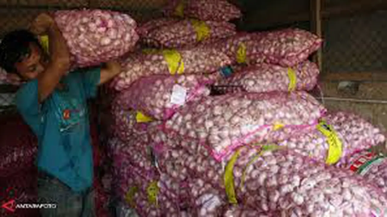 Bawang Putih