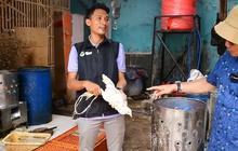 Berkat Usaha Ayam Kampung, Pemuda Indramayu Ini Sukses Raup Omzet hingga Ratusan Juta Rupiah
