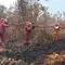 56 Titik Panas Terdeteksi di Lampung Timur, Mayoritas di Way Kambas