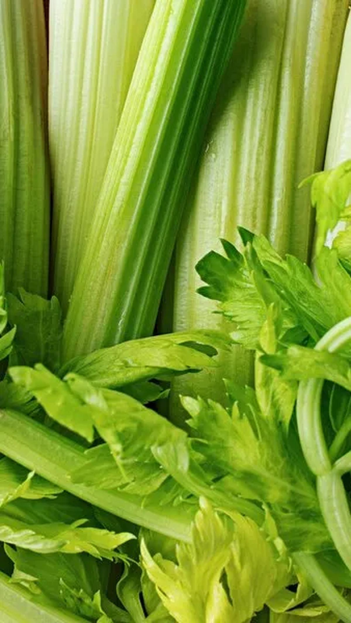 5. Seledri: Manfaat Luar Biasa dari Sayuran Diet Ini<br>