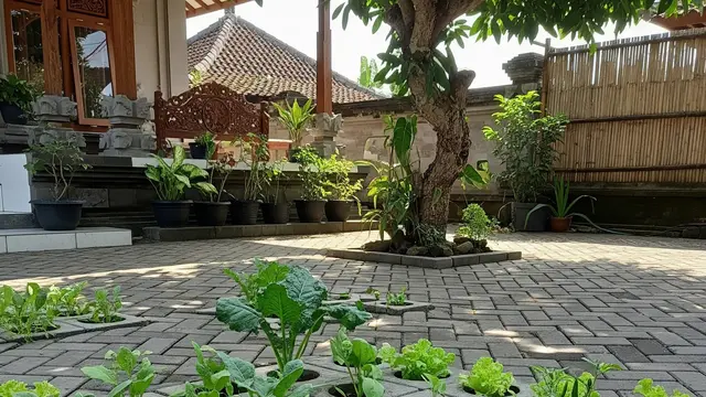 6 Cara Menanam Sayuran di Paving Block, Ide Kreatif Maksimalkan Halaman