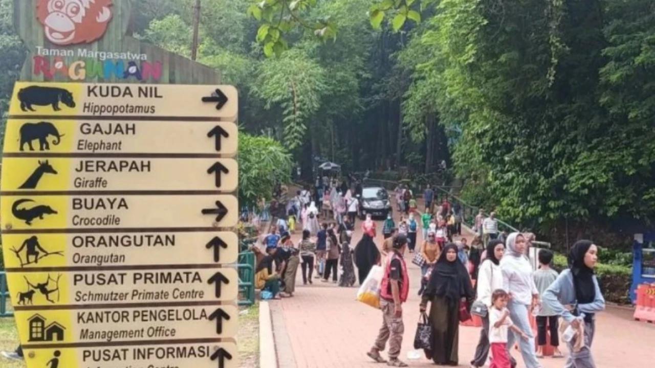 Antusiasme Warga Meningkat, Ragunan & Kota Tua Kebanjiran Puluhan Ribu Pengunjung saat Libur Imlek