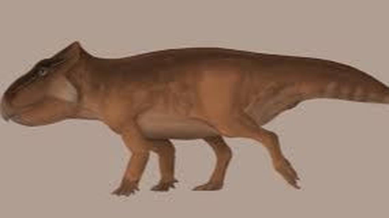 Spesies Jenis Leptoceratops<br>