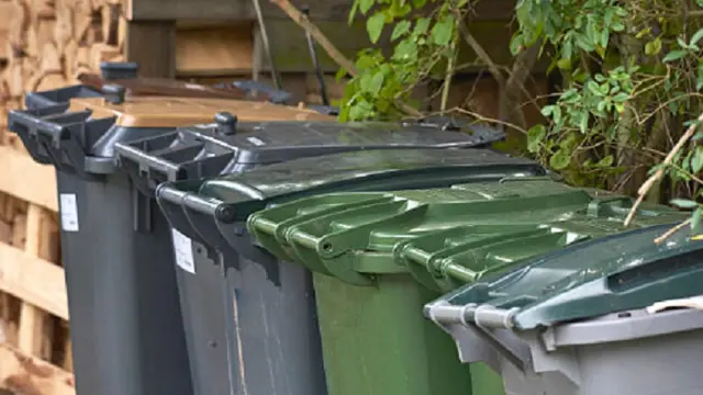 Ilustrasi tong sampah (iStock)