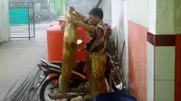 Bahrul Ulum, Guru Bahasa Indonesia Favoritku
