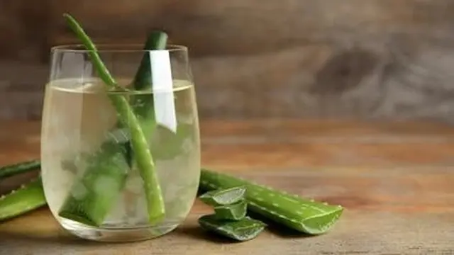 Es Lidah Buaya Sederhana: Olahan Praktis untuk Semua Kalangan