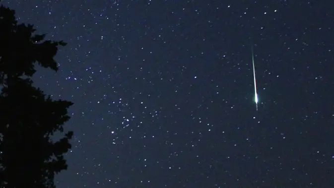 <p>Hujan meteor perseid. Dok: NASA/Bill Dunford</p>