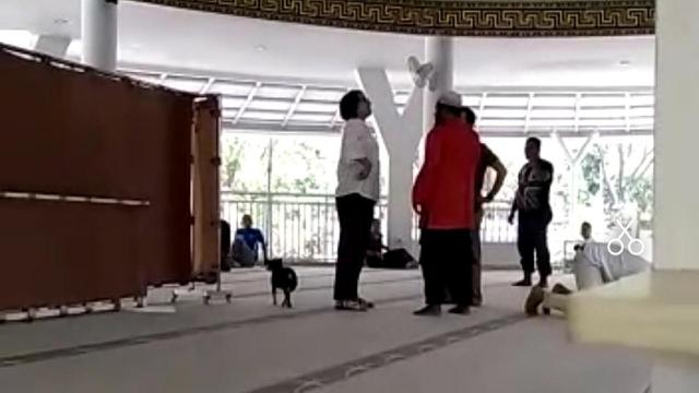 Wanita Bawa Anjing Masuk Mesjid
