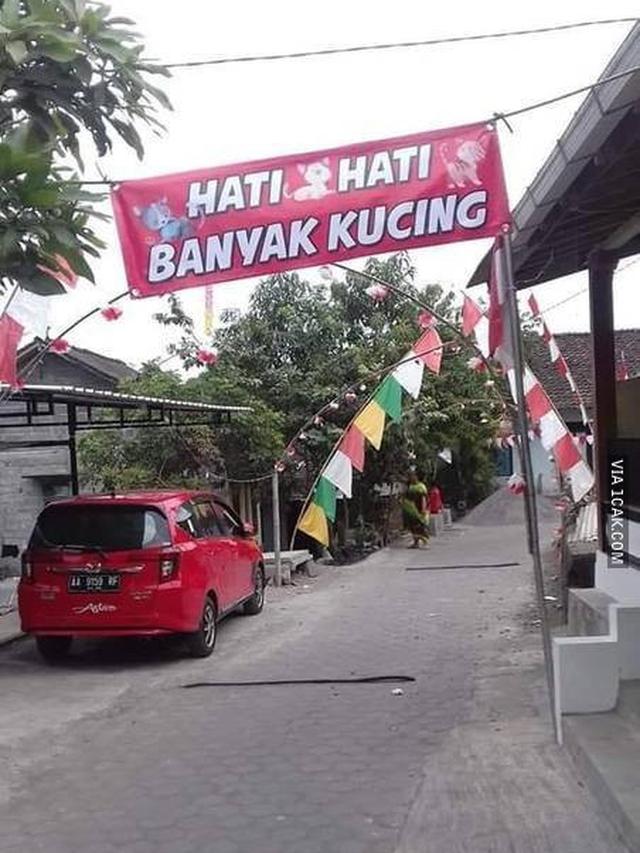 6 Imbauan Libatkan Kucing Ini Nyeleneh Banget, Bikin Heran