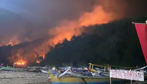 Kebakaran Gunung Watangan Jember Hanguskan 6,5 Hektare Hutan