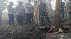 Sayembara ala Gubernur Kalteng: Rp 5 Juta untuk Warga yang Lapor Pembakar Hutan
