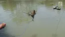 Dua ekor monyet dilemparkan ke Sungai Ciliwung untuk dimandikan di kawasan Bendungan Katulampa, Bogor, Kamis (29/3). Di tengah panas terik saat rehat berkeliling kampung, monyet-monyet asal Tanjung Priok ini dimandikan tuannya. (Merdeka.com/Arie Basuki)