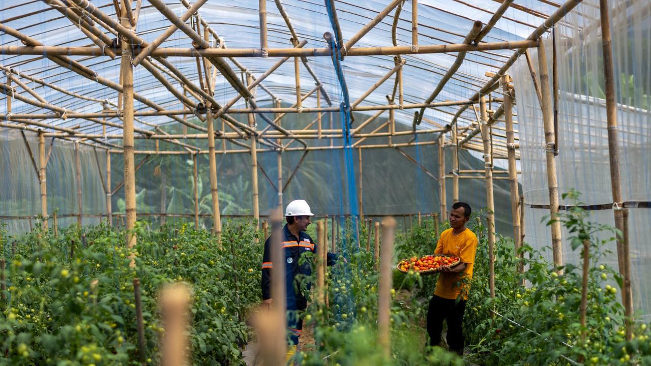 Cara Antam Sulap Lahan Tidur Sekitar Tambang Jadi Sumber Pendapatan Warga Kalongliud
