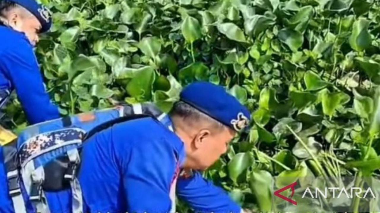 Polrestabes Palembang Sulap Eceng Gondok Jadi Pakan Ikan Bernilai Ekonomis