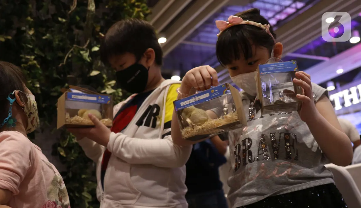 Anak-anak mendapatkan hewan peliharaan di Living World Alam Sutera, Tangerang Selatan, Banten, Minggu (5/12/2021). Para pengujung  bisa mendapatkan hewan peliharaan baru secara gratis dengan cara memilih melalui aplikasi spotgua yang merupakan Experience Mall 4.0. (Liputan6.com/Angga Yuniar)