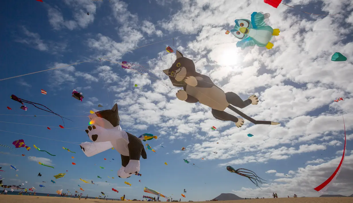 Aneka layangan beragam bentuk terbang selama Festival Layang-layang Internasional di Fuerteventura, kepulauan Canary, Spanyol, 10 November 2018. Festival diikuti 45 penerbang layang-layang profesional dan amatir dari delapan negara. (DESIREE MARTIN/AFP)