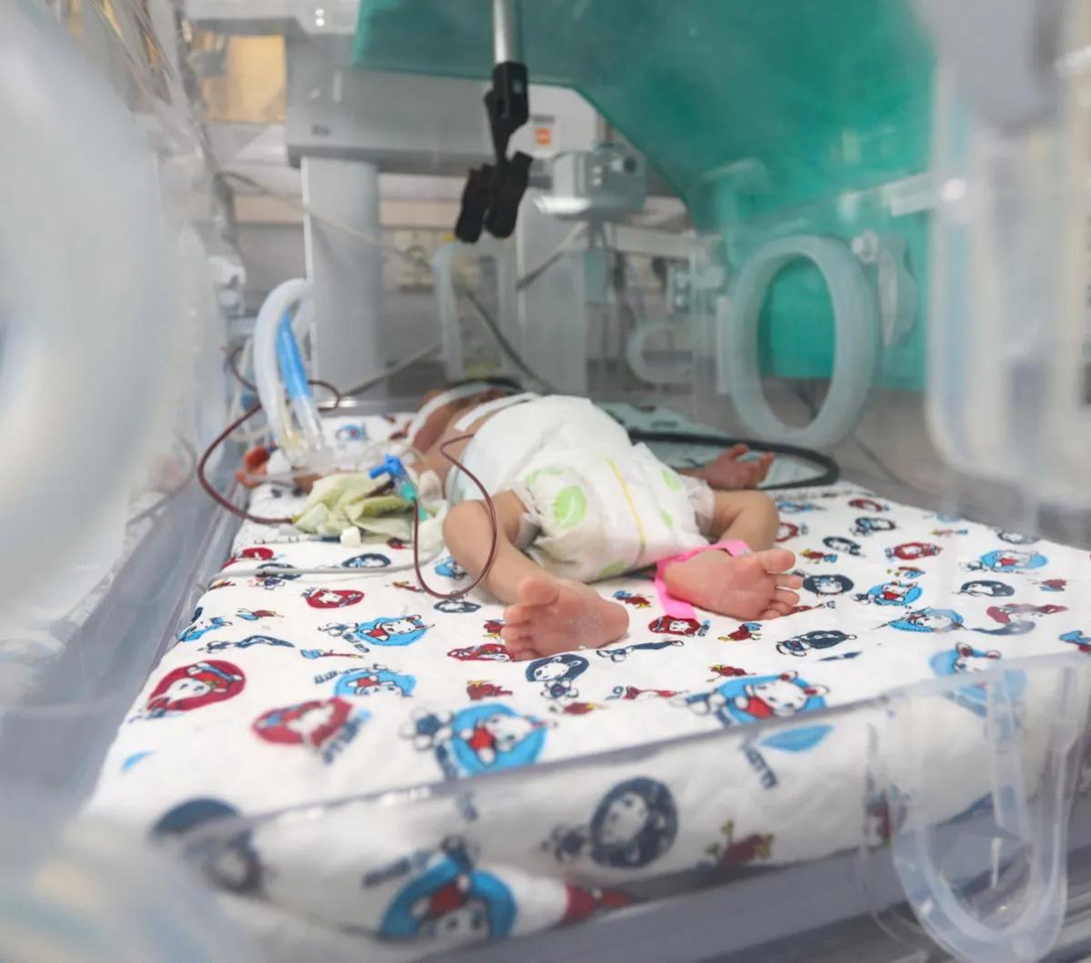 Kondisi bayi-bayi prematur yang masih dirawat di sejumlah rumah sakit di Gaza semakin terancam nyawanya. Hal ini dipengarunhi oleh pasokan listrik yang masih diblokade Israel sejak pertempuran antara Hamas dengan pasukan zionis tersebut pecah 7 Oktober la