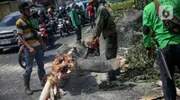 Petugas Suku Dinas Kehutanan Jakarta Timur menebang pohon di sisi jalan raya Bogor, Jakarta, Kamis (9/3/2023). Penebangan pohon dilakukan untuk antisipasi cuaca buruk yang seringkali mengakibatkan tumbangnya pohon di berbagai kawasan ibu kota.  (Liputan6.com/Faizal Fanani)