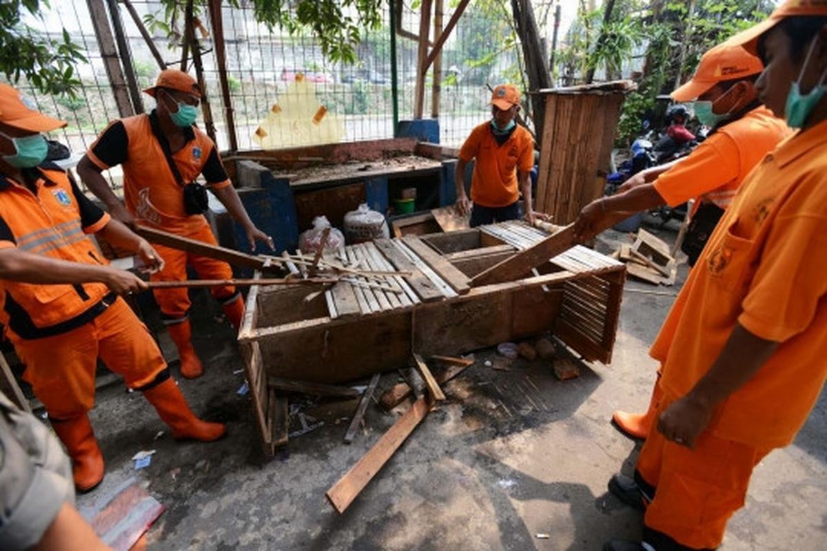 Antisipasi flu burung, kandang unggas di bantaran Ciliwung dibongkar