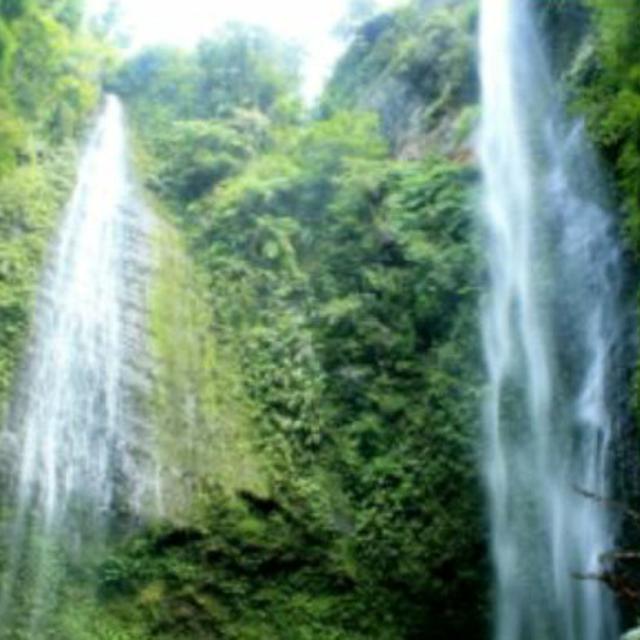 Air Terjun Kembar Di Sikka Yang Menggoda Regional Liputan6 Com