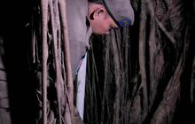 FOTO: Penampakan Hutan Kota UKI Cawang Diduga Jadi Sarang LGBT, Ditemukan Kondom Bekas Pakai