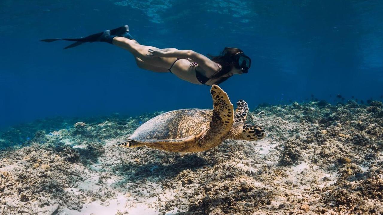 Wisata Gili Trawangan
