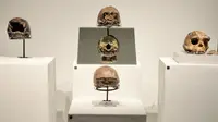 Menteri Kebudayaan Fadli Zon menghadiri pameran fosil manusia purba pithecanthropus erectus di Museum Nasional Indonesia. Pameran yang digelar Kementerian Kebudayaan ini bertajuk "Indonesia, The Oldest Civilization on Earth? 130 Years After Pithecanthropus Erectus". (Foto: Kementerian Kebudayaan)