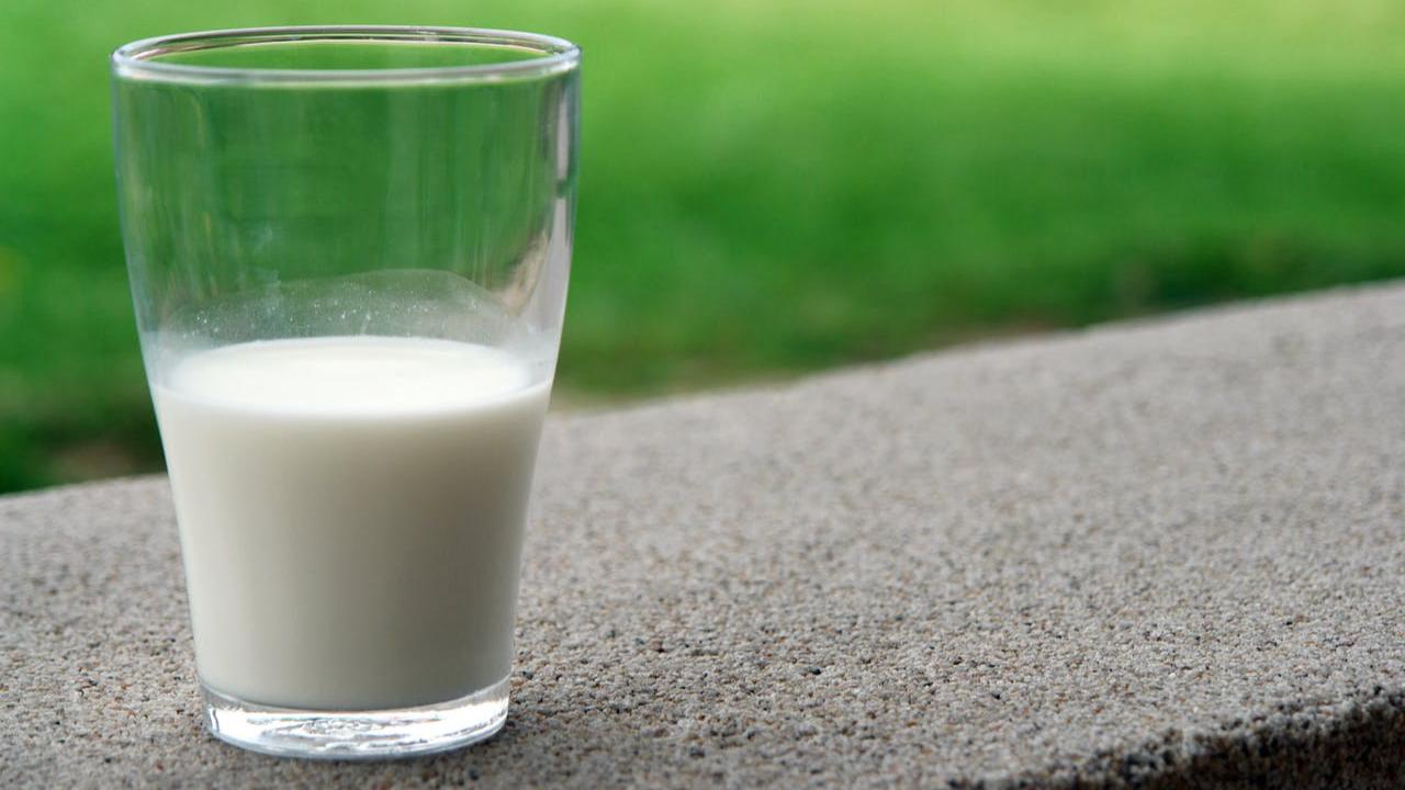 Ilustrasi Susu