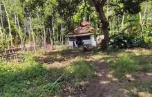 Kisah Kampung Mati Petir di Batang, Desa Tak Berpenghuni Menyimpan Banyak Cerita Horror