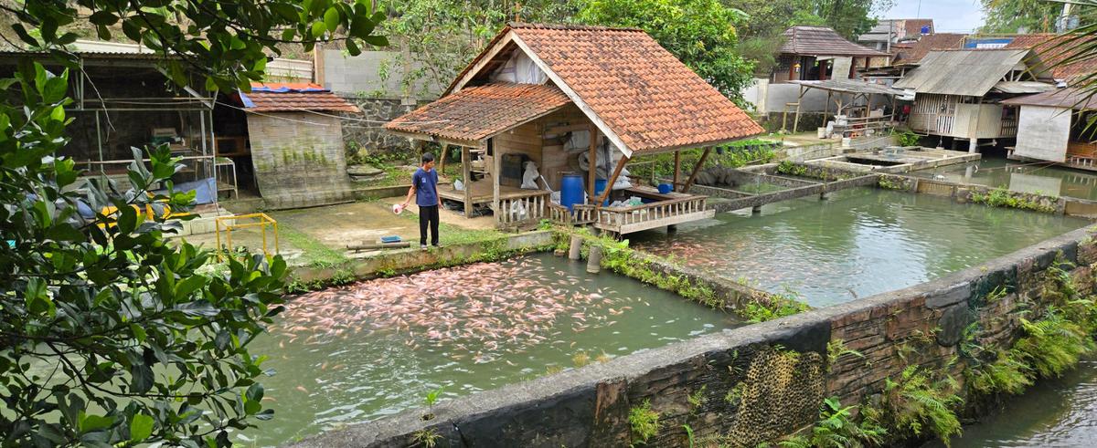 Desa Jatihurip di Kecamatan Cisayong, Kabupaten Tasikmalaya Jadi Percontohan Pengembangan Energi Terbarukan Berkat Bantuan BRI