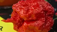 Carolina Reaper (Dailymail.com)