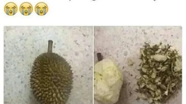 6 Momen Apes saat Mau Makan Durian Ini Tak Sesuai Ekspektasi