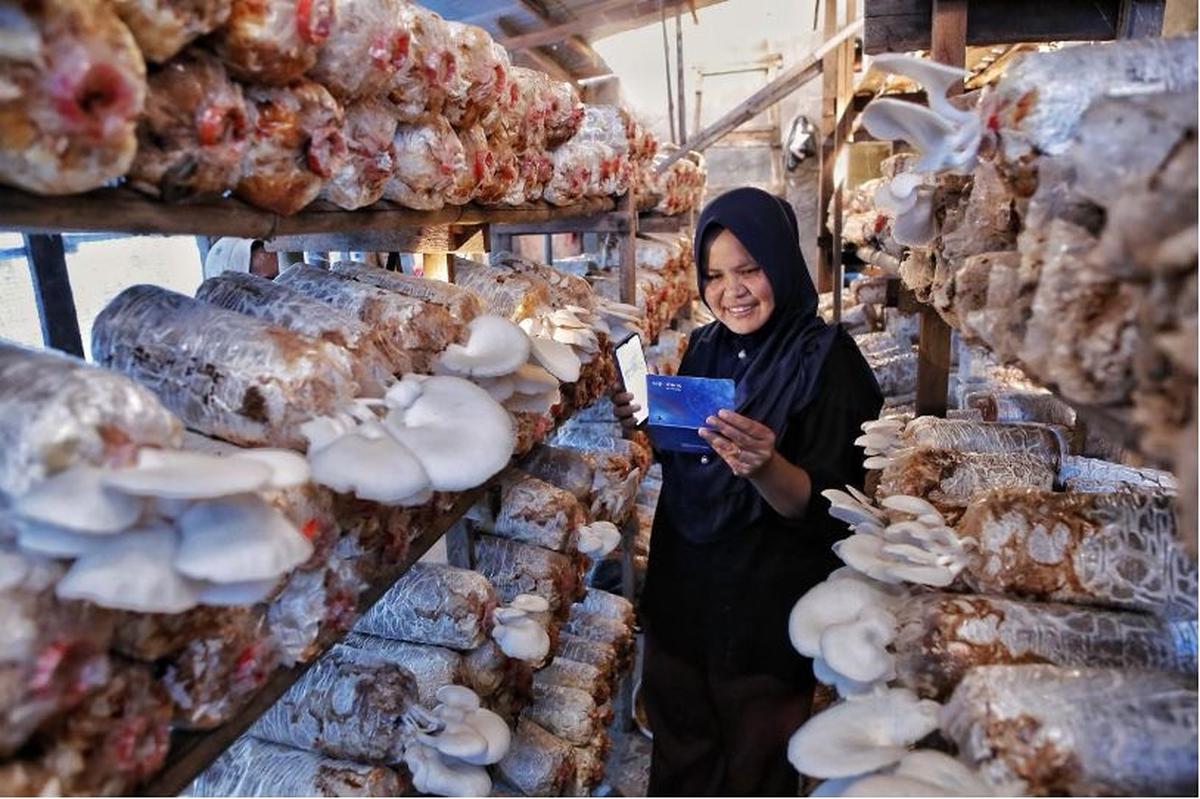 Bisnis UMKM Tetap Ekspansif di Kuartal II 2026, Optimisme Pelaku Usaha Masih Terjaga
