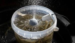 Pasang Aerator (Pompa Udara) untuk Oksigen. Foto: Gemini