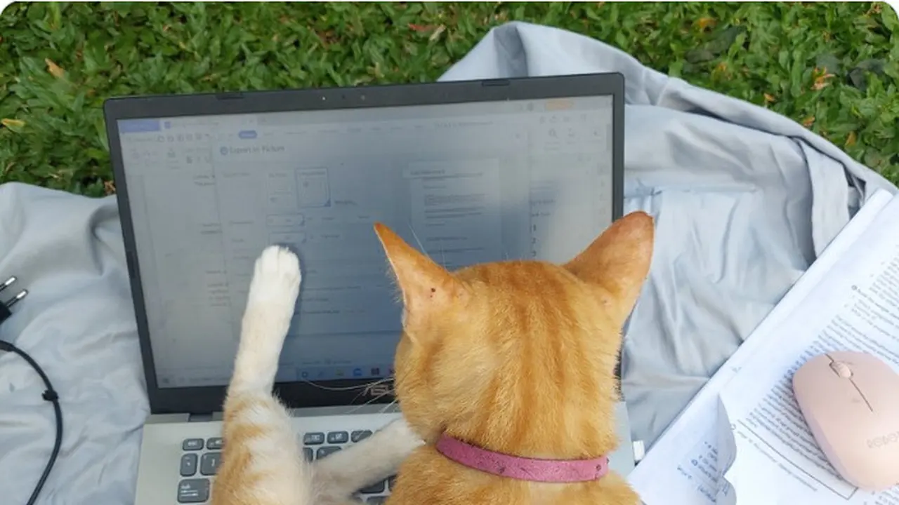 6 Potret Gemas Kucing Tidur hingga Duduk di Atas Laptop, Nyaman Seperti di Kasur